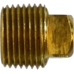 Brass Pipe Ftg*02 SQ Plug